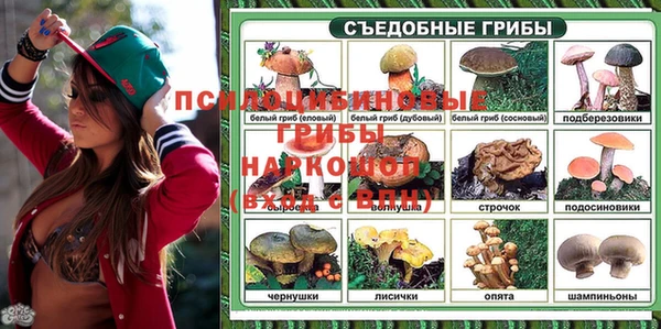 Альфа ПВП Магас