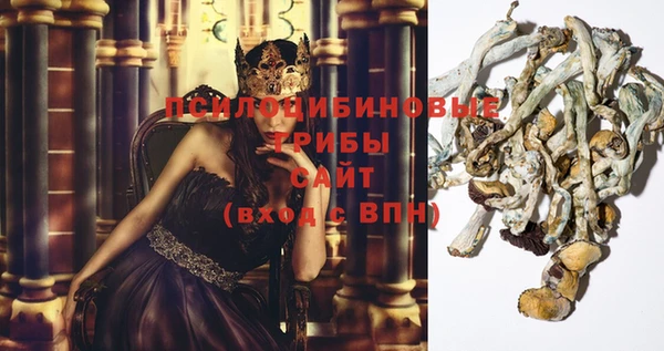Альфа ПВП Магас