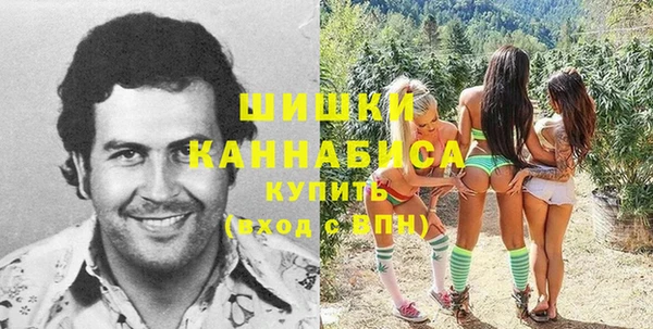 Альфа ПВП Магас