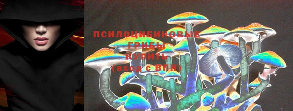 Альфа ПВП Магас