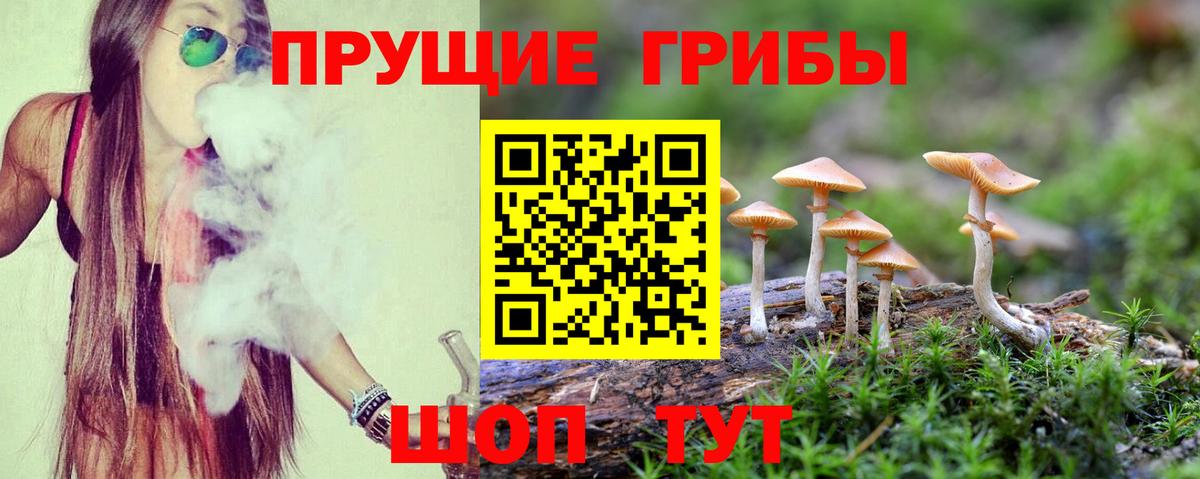 Псилоцибиновые грибы GOLDEN TEACHER Фурманов