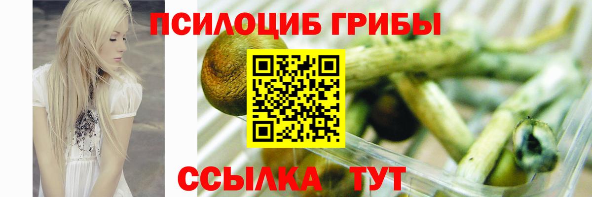 Псилоцибиновые грибы Magic Shrooms  купить наркоту  Фурманов  Вход с VPN 