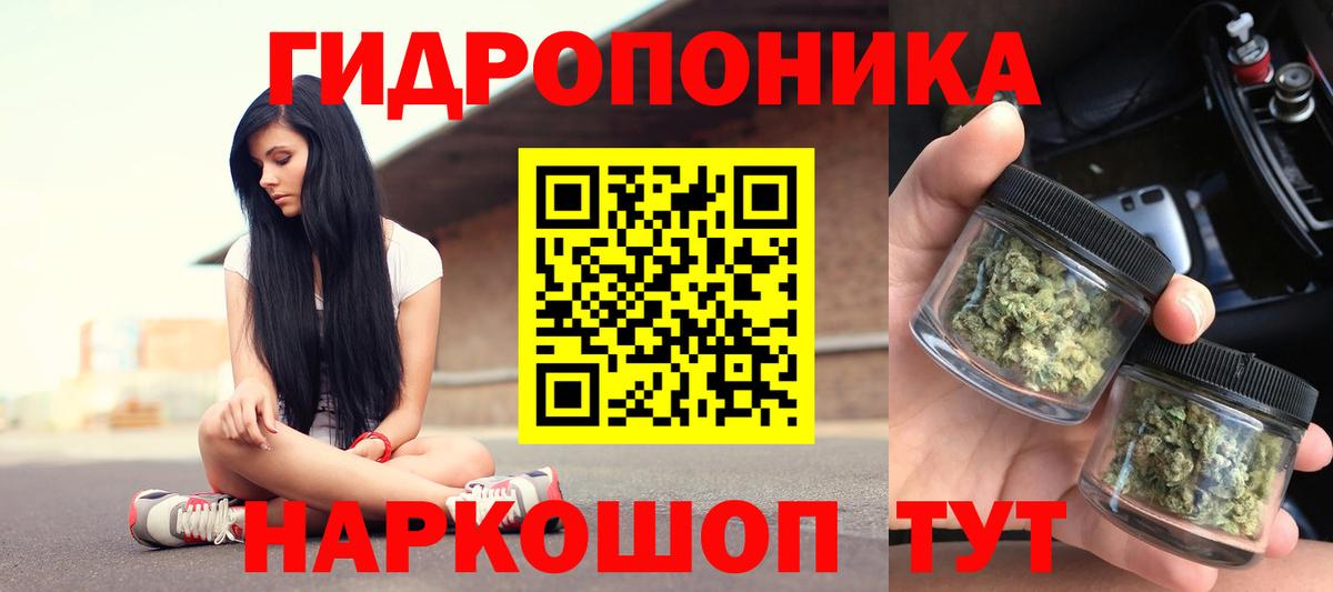 Марихуана конопля  Фурманов  Каннабис индика 